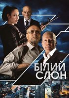 постер Білий слон